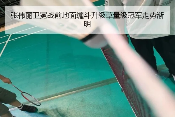 张伟丽卫冕战前地面缠斗升级草量级冠军走势渐明（kaiyun）