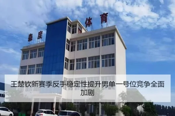 王楚钦新赛季反手稳定性提升男单一号位竞争全面加剧（kaiyun）